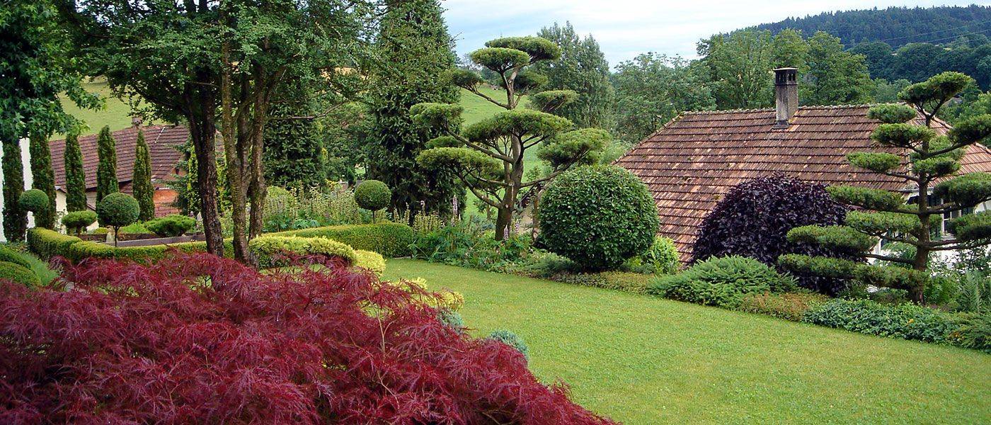 Mein Garten - mit Formgehölzen