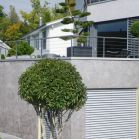 Kundengarten Gehölzexperte 14